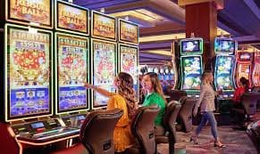 81 bet